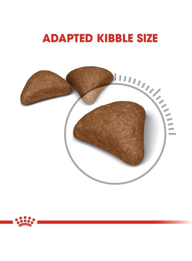 ROYAL CANIN طعام القطط من رويال كانين FCN للعناية بالكرات الشعرية 400 جرام - تغذية سلالات القطط - Image 5