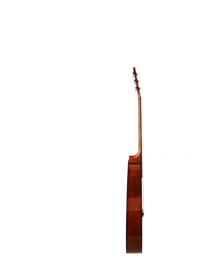 ياماها Yamaha F310 TBS Acoustic Guitar - Tobacco Brown Sunburst  - Image 2