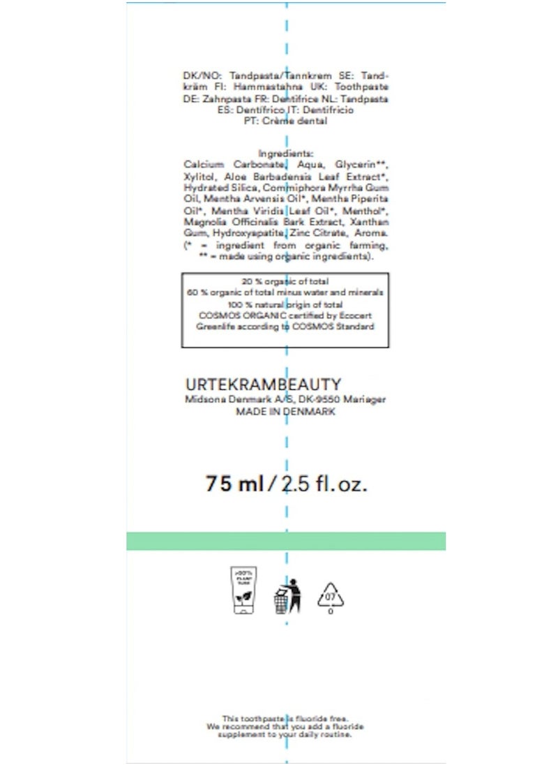 Fluoride Free Whitening Toothpaste Fresh Mint 75 ML - pzsku/ZC8E674D6DB6B068AECD7Z/45/_/1713816085/b8d391ee-89f2-4949-8e64-2446ecda02a6