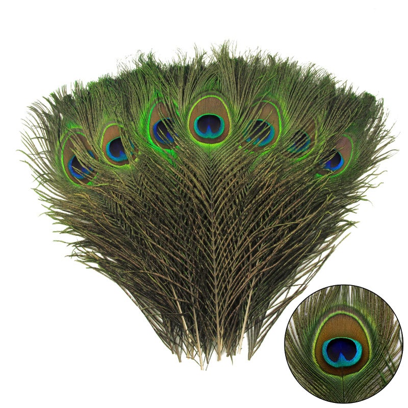 THARAHT 12pcs Peacock Feather Natural in Bulk 1012 inch 2530cm for Craft Vase Wedding Home Party Christmas Day Decoration Peacock Feathers