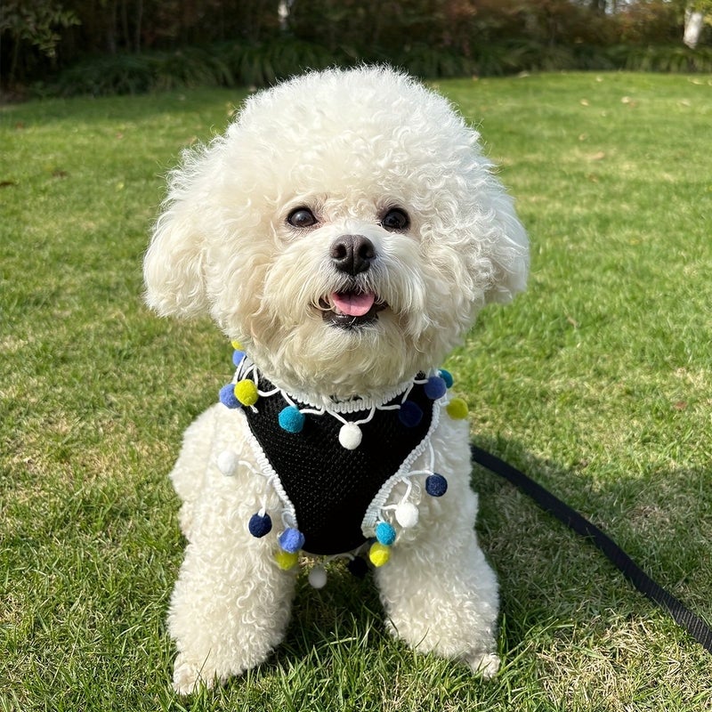 Small To Medium Pet Harness And Leash Set 2005 Pink Lace Trim Soft Breathable Fabric For Outdoor Outings - Image 4