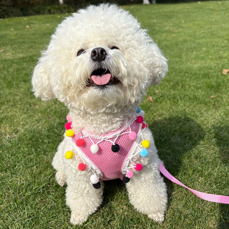 Small To Medium Pet Harness And Leash Set 2005 Pink Lace Trim Soft Breathable Fabric For Outdoor Outings - Image 3