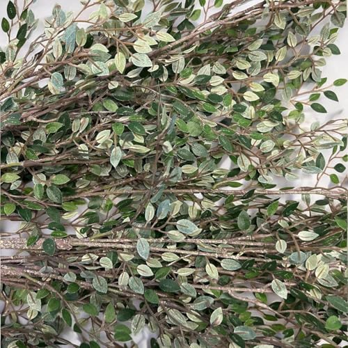 Fox & Fern Artificial Green Leaves Stick (Pack of 1) | Real Touch Leaves | Ornamental Stick Best for Gifting, Party, Home Decor (Ht. 100CM) GAAFWG-100G (Green) - Image 5