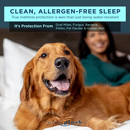 UltraBlock UltraPlush King Waterproof Mattress Protector - Bedwetting, Bed Cover - Image 4