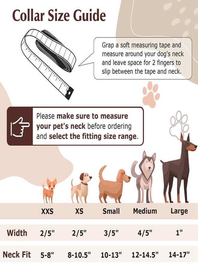 WeimoMonkey Dog Collar XXS with Bell, Puppy Collar Boys Cats Collar with Bell Faux Leather PU Adjustable for XXS Xs Small Pet Dogs Animal Litter Tiny Male Brown,XXSmall - Image 2