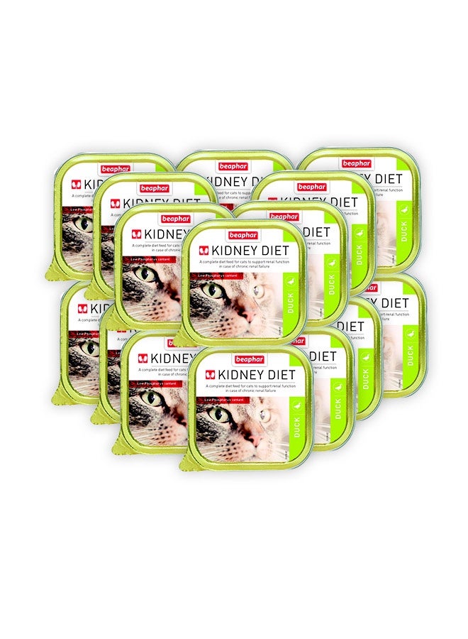 beaphar Kidney Diet Duck Cat Wet Food- 100G (Pack Of 16) - Image 1