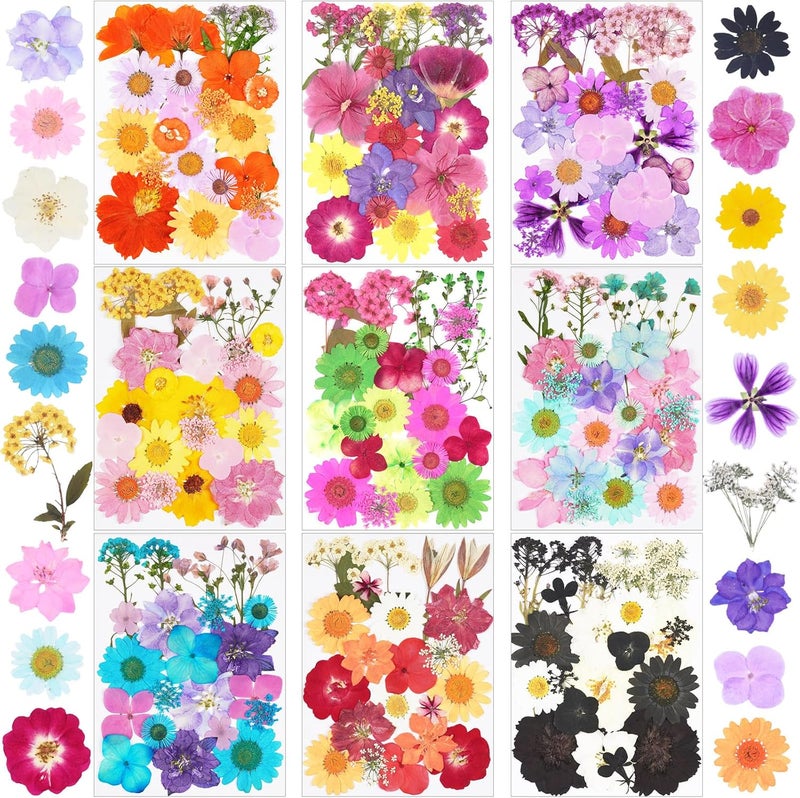 Xinxinran 190Pcs Dried Pressed Flowers for Crafts, Dry Flower Kit for Resin Molds,Epoxy Resin Accessories,Bookmark,Nails, Jewelry Molds,Candle Making Supplies,Soap,Frame(Bright Color) - Image 1
