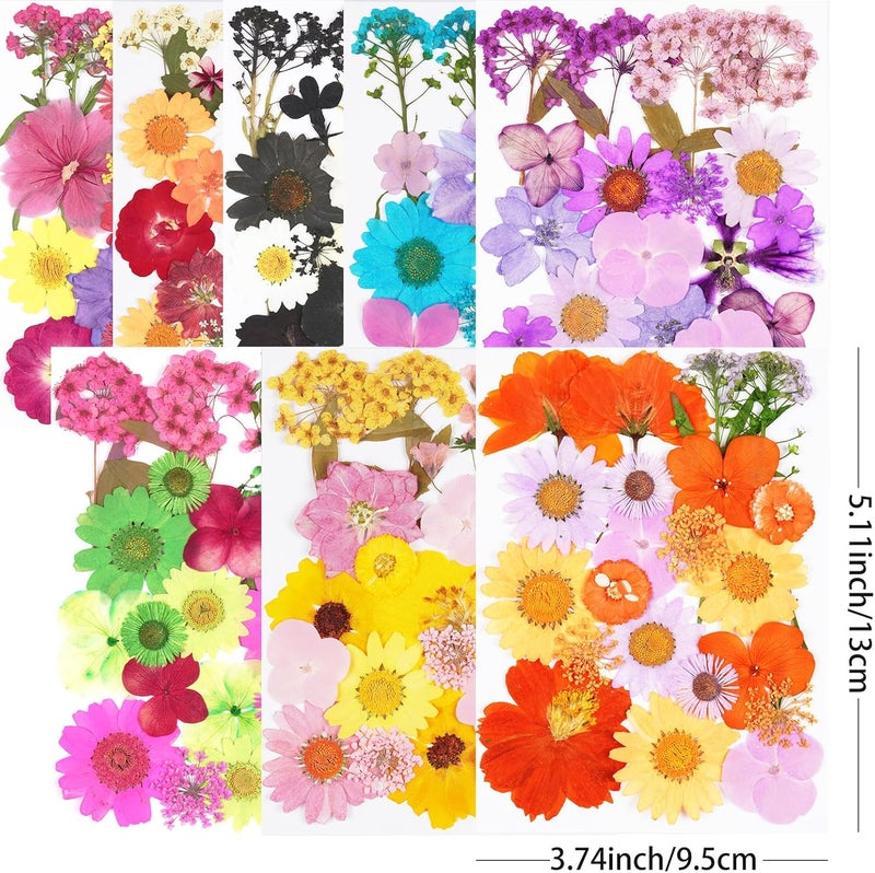 Xinxinran 190Pcs Dried Pressed Flowers for Crafts, Dry Flower Kit for Resin Molds,Epoxy Resin Accessories,Bookmark,Nails, Jewelry Molds,Candle Making Supplies,Soap,Frame(Bright Color) - Image 2