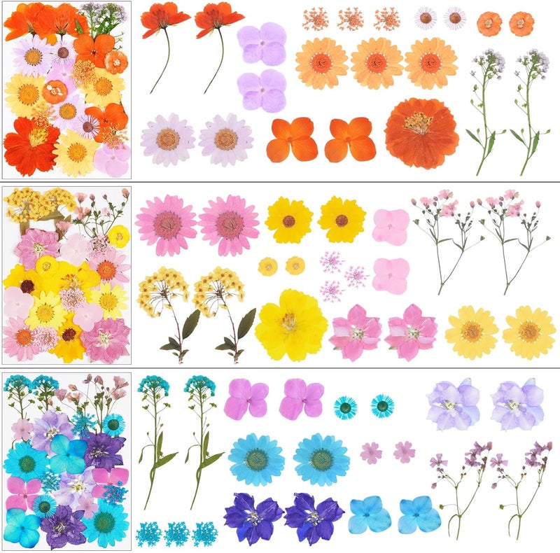 Xinxinran 190Pcs Dried Pressed Flowers for Crafts, Dry Flower Kit for Resin Molds,Epoxy Resin Accessories,Bookmark,Nails, Jewelry Molds,Candle Making Supplies,Soap,Frame(Bright Color) - Image 3