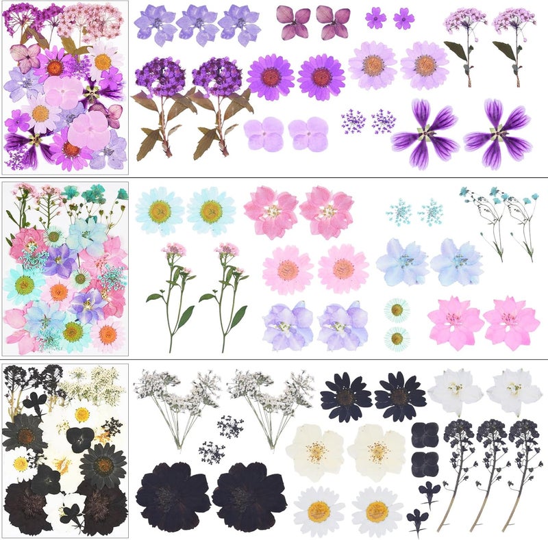 Xinxinran 190Pcs Dried Pressed Flowers for Crafts, Dry Flower Kit for Resin Molds,Epoxy Resin Accessories,Bookmark,Nails, Jewelry Molds,Candle Making Supplies,Soap,Frame(Bright Color) - Image 5