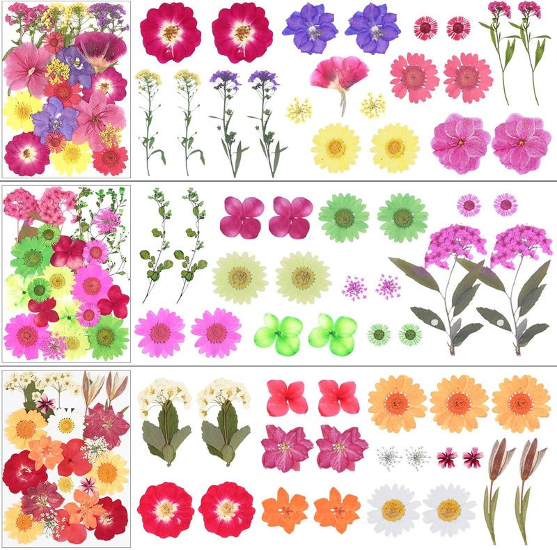 Xinxinran 190Pcs Dried Pressed Flowers for Crafts, Dry Flower Kit for Resin Molds,Epoxy Resin Accessories,Bookmark,Nails, Jewelry Molds,Candle Making Supplies,Soap,Frame(Bright Color) - Image 4