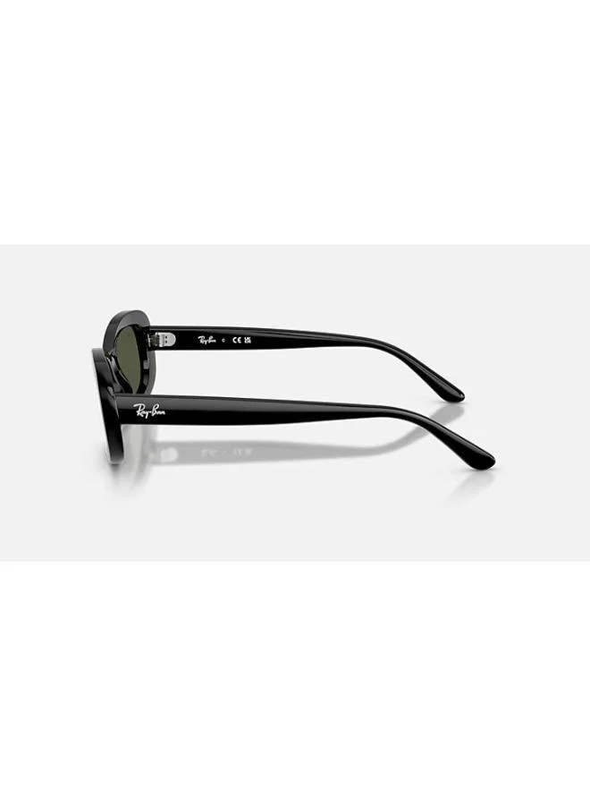 Ray-Ban  Oval Sunglasses for Women | Best Price UAE