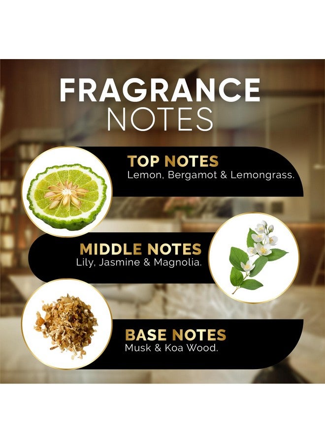 Signature Scents Luxury Hotel Diffuser Oil for Hotels and Homes - Aromatherapy Oils for use with an Essential Oil Diffuser at Home - Fragrance-Scent Diffuser Oil Blend (Sunrise Studio) 4.05fl oz (120ml)  - Image 3