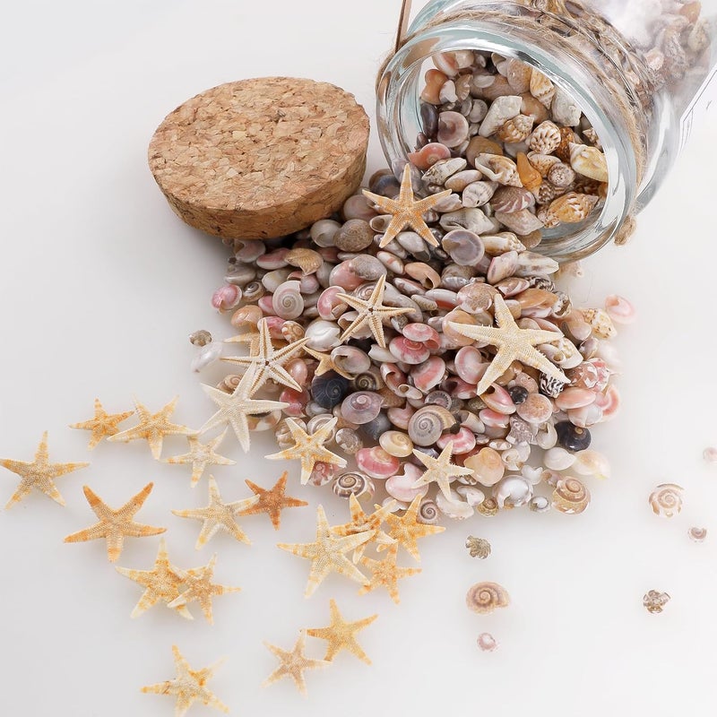 PPCLION 60pcs Tiny Starfish 1800 Pcs Tiny Mini Small Sea Shells for Crafting Spiral Conch Shells for Crafts Charms for Home Decorations Candle Decor DIY Fish Tank and Beach Vase Filler - Image 5
