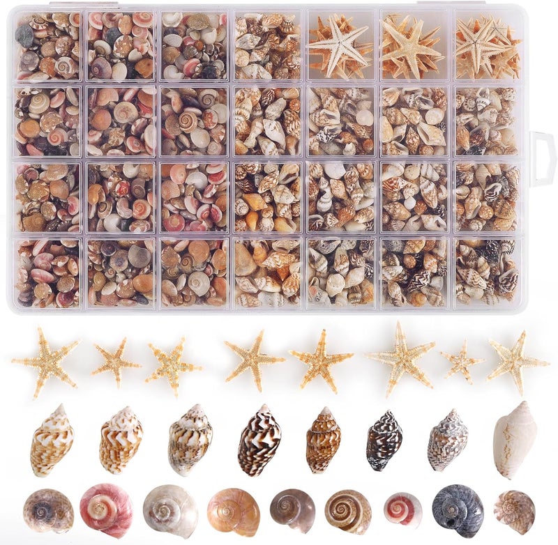 PPCLION 60pcs Tiny Starfish 1800 Pcs Tiny Mini Small Sea Shells for Crafting Spiral Conch Shells for Crafts Charms for Home Decorations Candle Decor DIY Fish Tank and Beach Vase Filler - Image 1