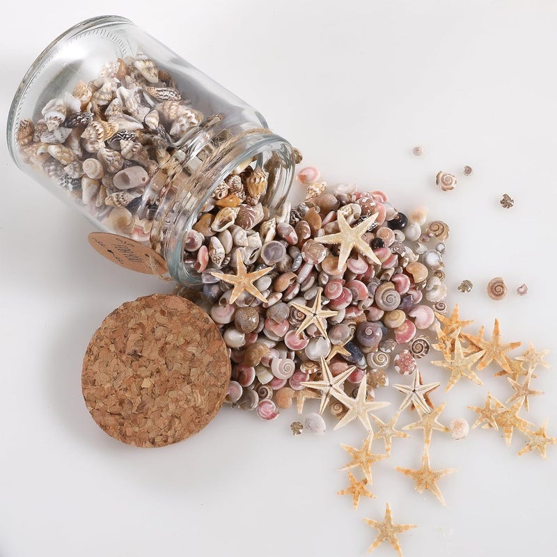 PPCLION 60pcs Tiny Starfish 1800 Pcs Tiny Mini Small Sea Shells for Crafting Spiral Conch Shells for Crafts Charms for Home Decorations Candle Decor DIY Fish Tank and Beach Vase Filler - Image 4