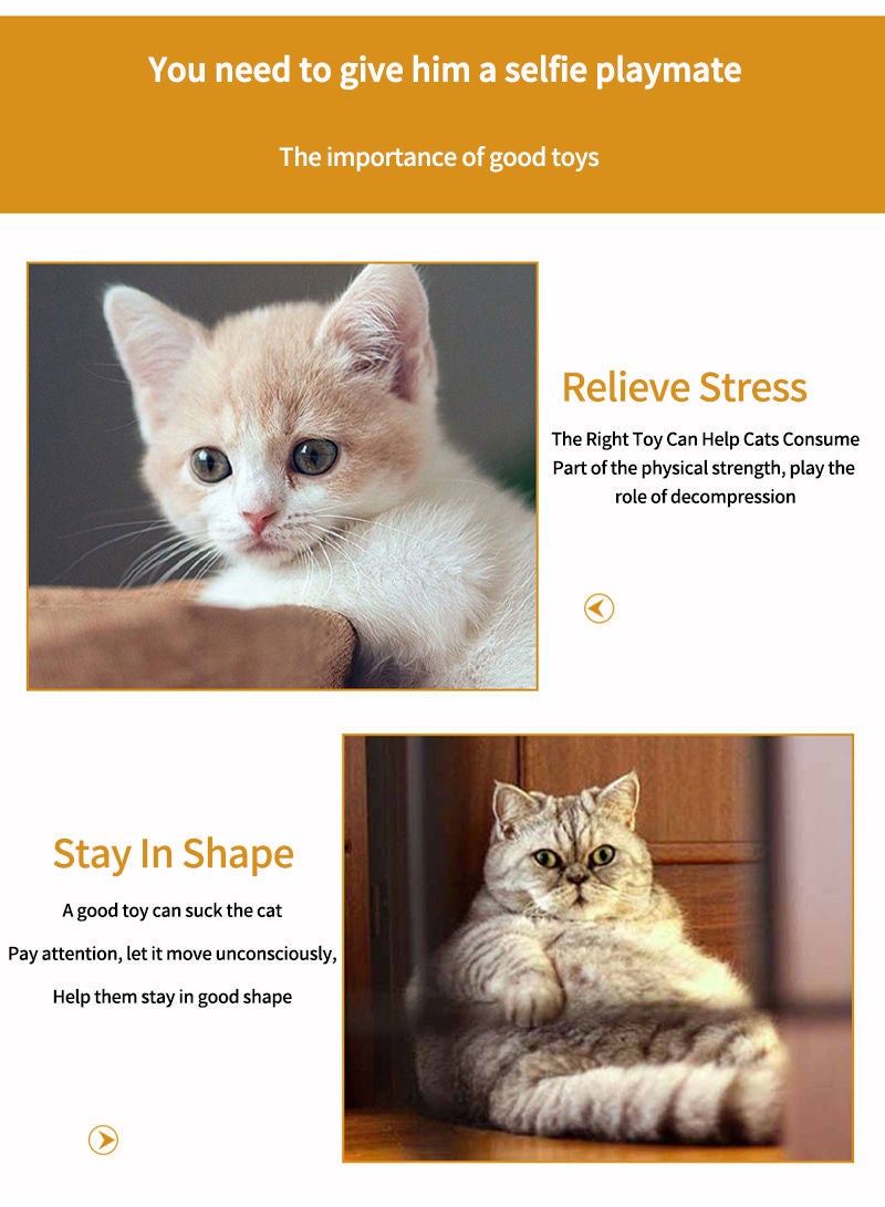 Kidle مجموعة ألعاب القطط مكونة من 14 قطعة - Image 3