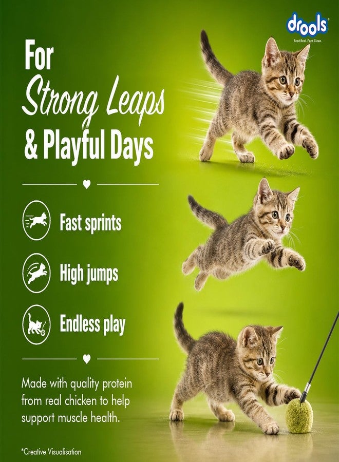 Drools Creamy Lickable Cat Treats (75g x 5 Pouches) Total 375g | Crab & Chicken | Easy to Hand Feed | Enriched with Vitamins - Image 2