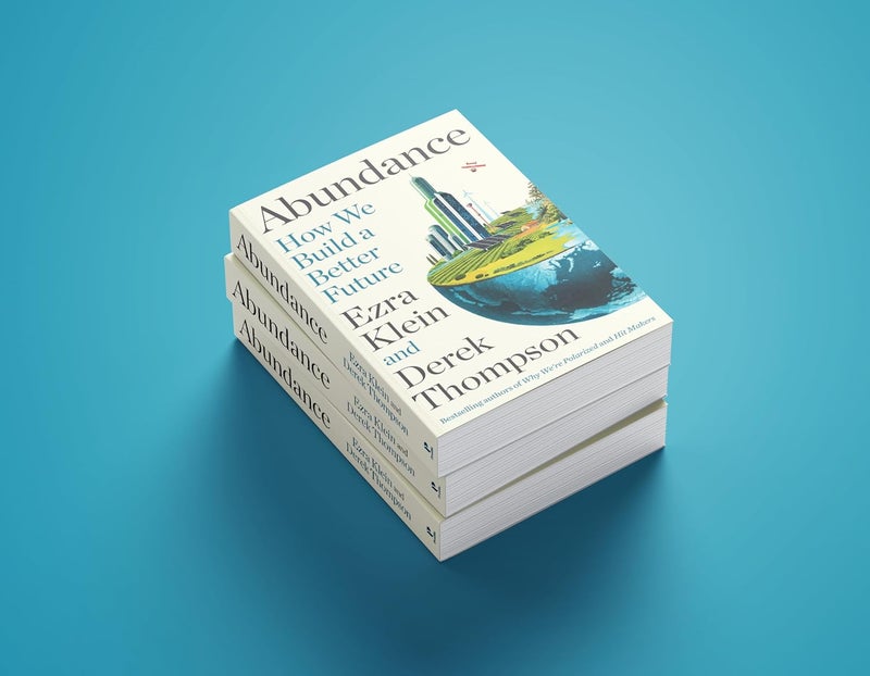 Abundance: How We Build a Better Future - Image 3