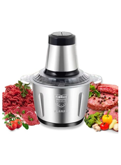 TEGRILO Electric Meat Grinder, 2 Speeds 300W Food Chopper 2L Upgraded Multi-Function Stainless Steel Kitchen Food Processor, Household Mincer For Meat, Onion, Vegetables, Nuts
