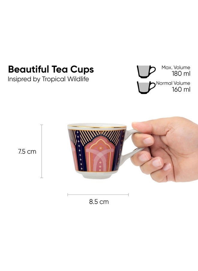 Shay طقم أكواب شاي سيراميك من 6 قطع، نور، 180 مل | طقم أكواب شاي من 6 قطع | تشطيب لامع | بورسلين فاخر | طقم شاي | كوب شاي سيراميك | أكواب صغيرة للشاي (أكواب الشاي - نور) متعددة الألوان - Image 4