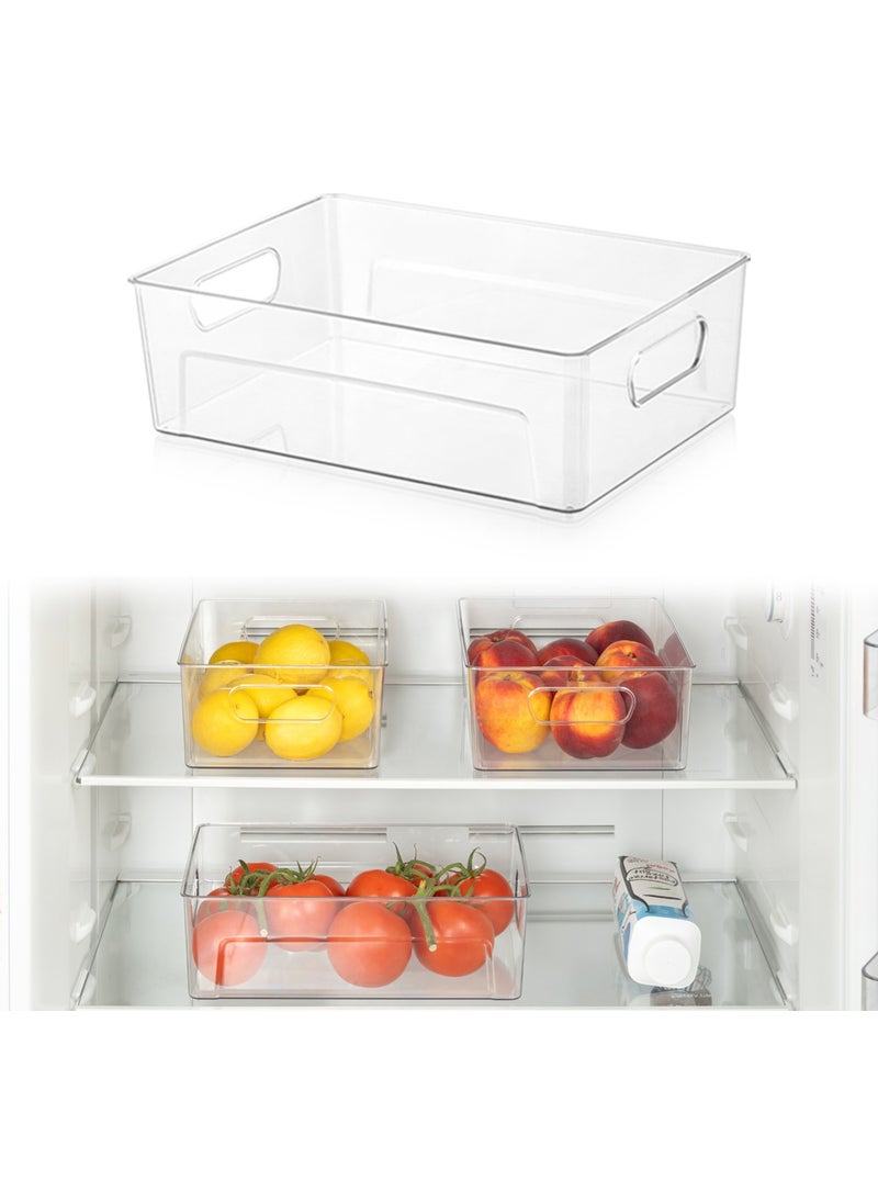 Unbreakable Ultra Durable Refrigerator Organizer Box Transparent - 28X19,5X9 Cm/4,9 L - pzsku/ZC8F965E083A726D15A3BZ/45/_/1726655385/ca90dba3-50eb-433a-9715-104546e1515f