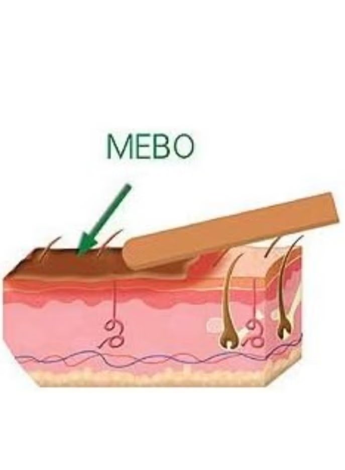 Julphar Pack Of 2 Mebo 0.25% Ointment 15g - Image 5