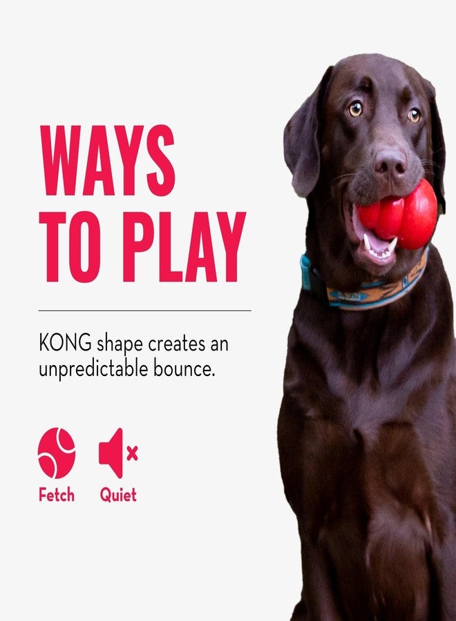 KONG - Bounzer - Medium - Image 5