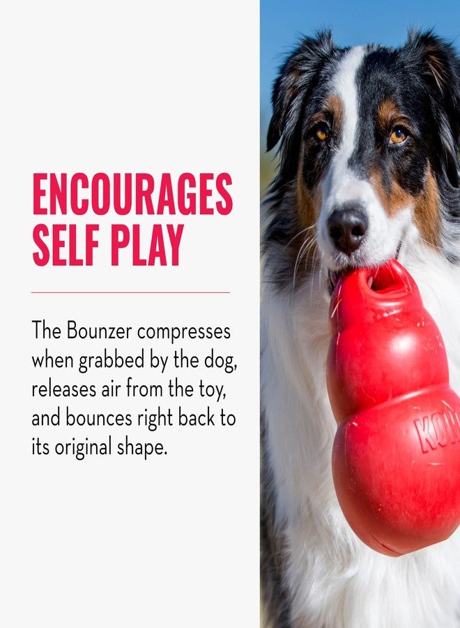 KONG - Bounzer - Medium - Image 3