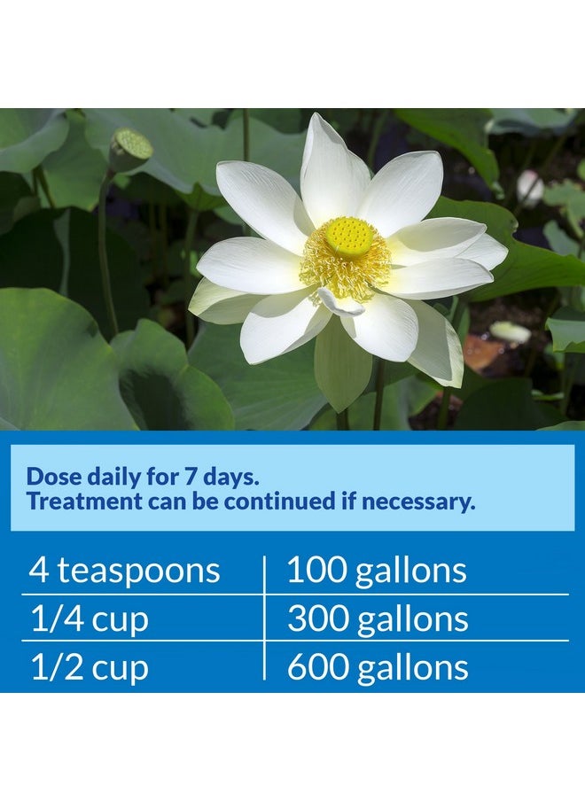 API PondCare® PimaFix Remedy for Koi & Goldfish (16 oz.)  - Image 5
