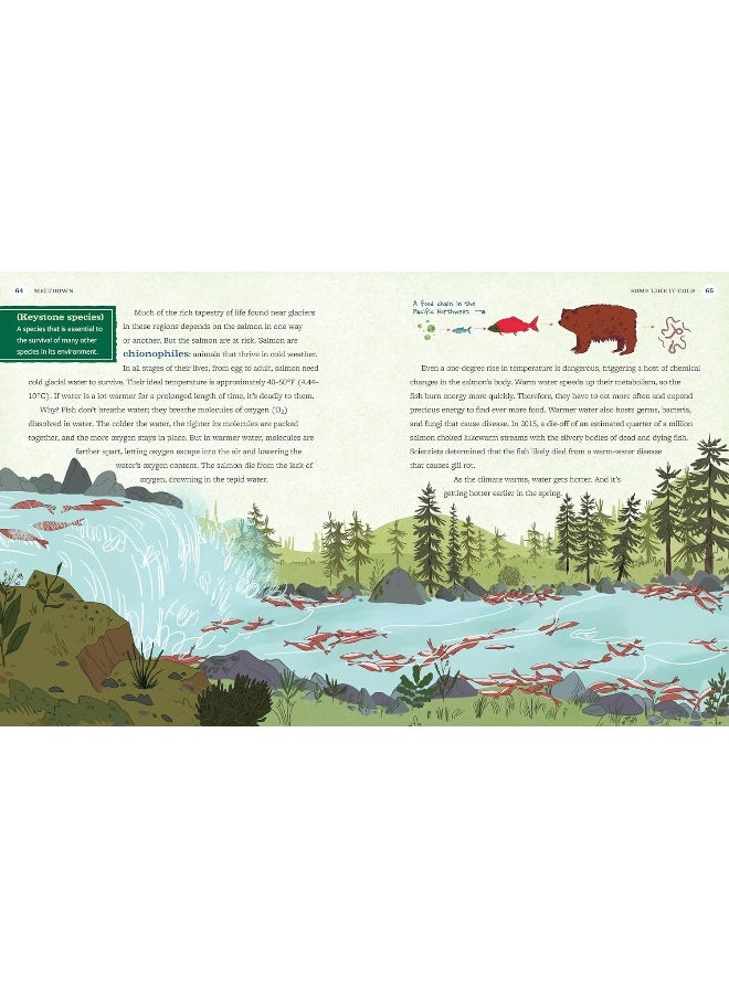 Meltdown: Discover Earth's Irreplaceable Glaciers and Learn What You Can Do to Save Them  - Image 4
