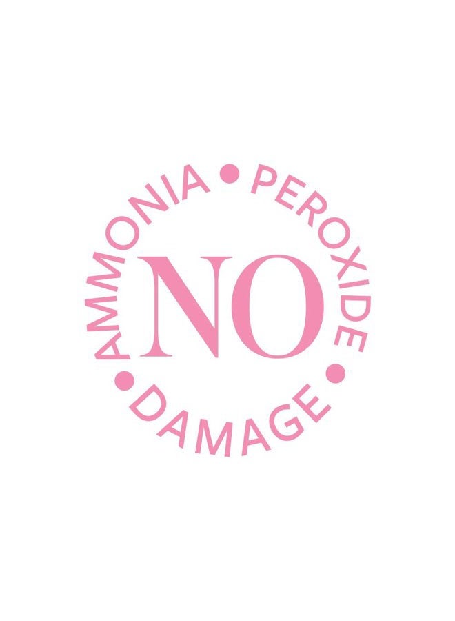 Roux Fanci-Full Instant Hair Color, #21 Plush Brown, 15.2 Fl Oz - Image 3