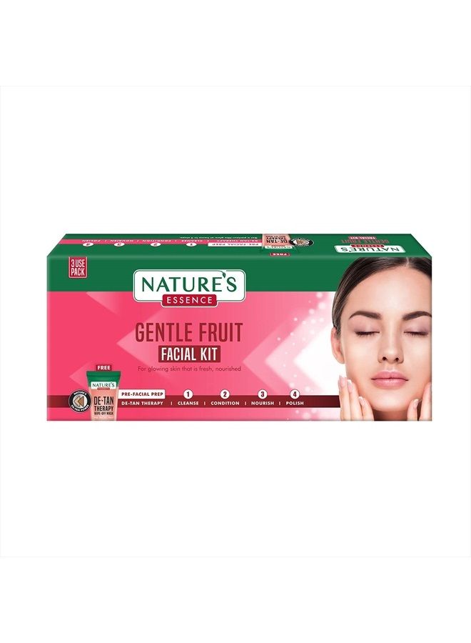 Nature's Essence Gentle Fruit Facial Kit (45Grams+30ML) - Image 1