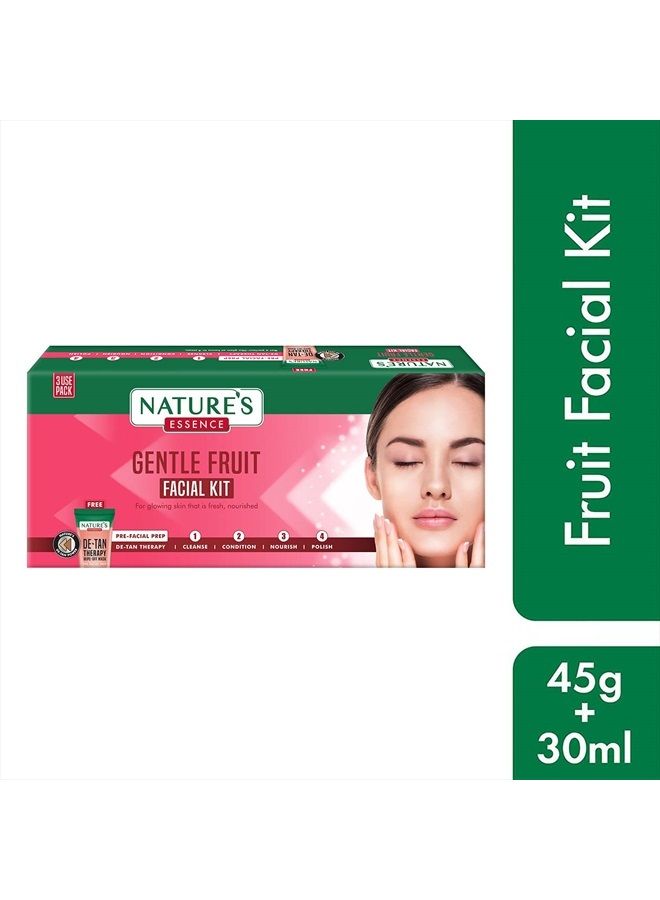 Nature's Essence Gentle Fruit Facial Kit (45Grams+30ML) - Image 2