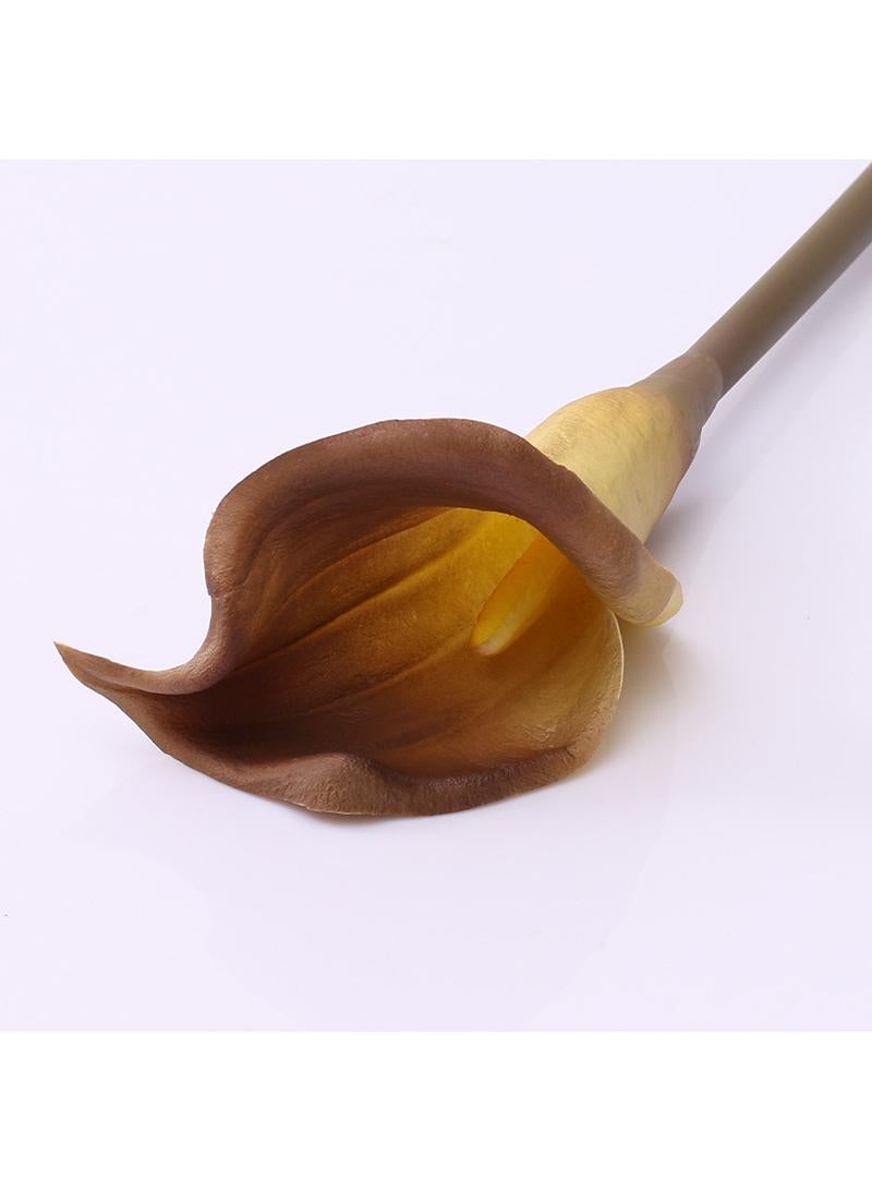 Generic 5-Pieces Artificial flower simulation calla lily high texture PU feel home decoration plant Brown  - Image 1