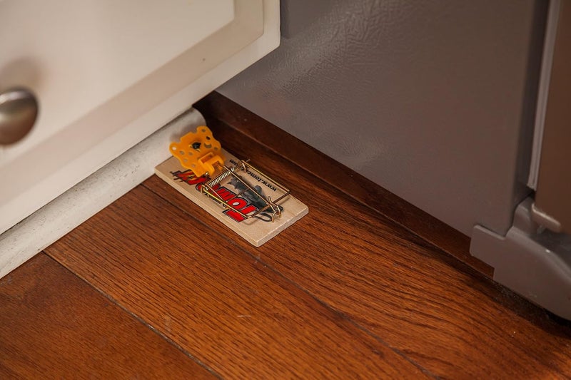 TOMCAT Mouse Traps (Wooden), Inexpensive, Effective Way to Catch Mice in The Home, 2 Traps (Pack of 2) - Image 3