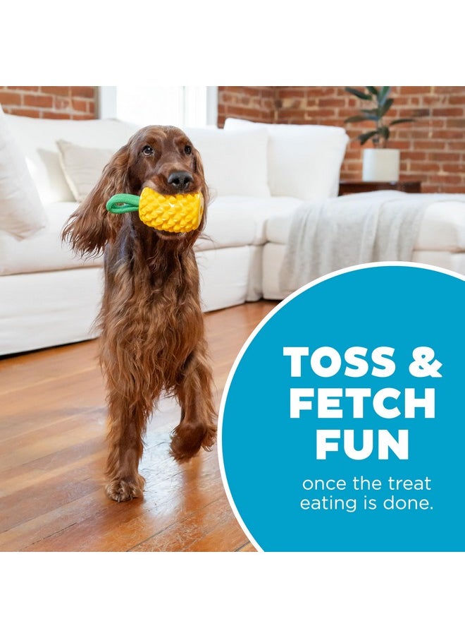 outward hound Outward Hound by Planet Dog Dental Pineapple 2-in-1 Dog Chew Toy and Treat Stuffer, Medium, Yellow  - Image 5