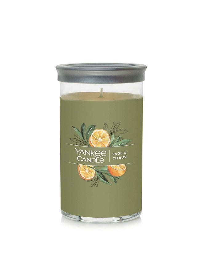 Yankee Candle Sage & Citrus Signature Medium Pillar Candle, 14.25oz - Image 1