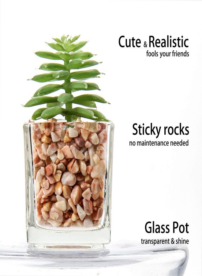 Briful Mini Fake Plants 4 Packs Succuletns Artificial Potted Plants in Cube Glass Vase Faux Succulents for Bathroom Living Room Kitchen Shelf Table Decor - Image 3