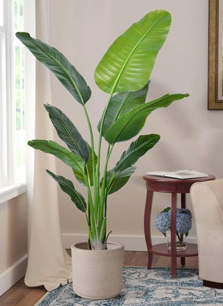 Green-4