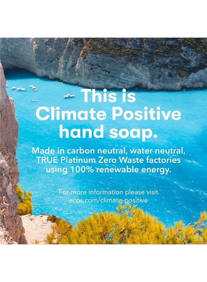 ECOS Hand Soap Hypoallergenic Lemongrass 17Oz Bottle (6 Pack) By Earth Friendly Products - Image 4