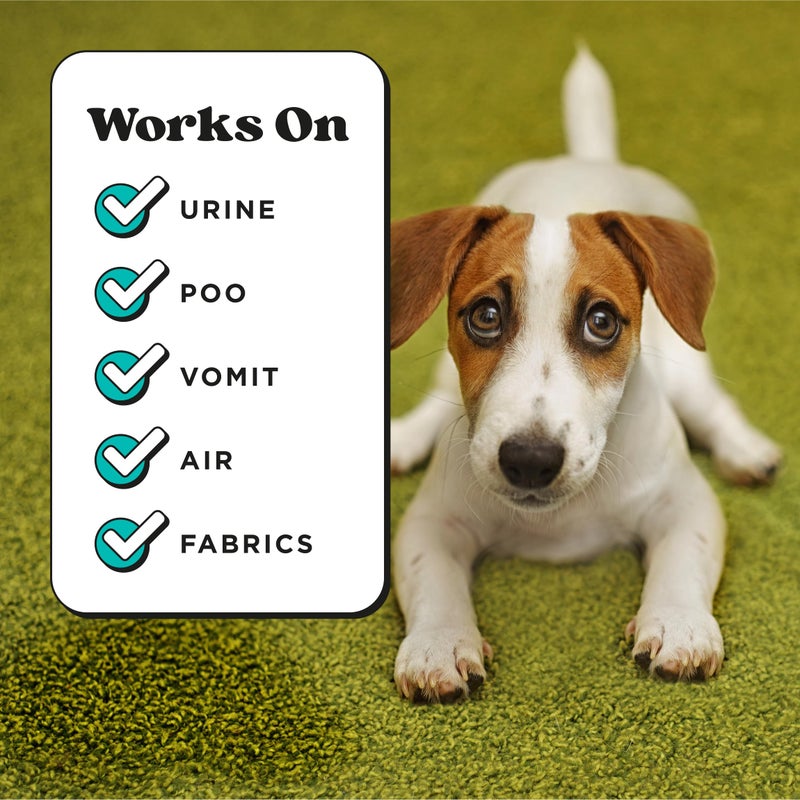 Poo-Pourri Pawsitively Fresh Pocket Deodorizer Spray - Dog & Cat Odor Remover - Plant Based Ingredients - Vet Recommended - Great for Air, Carpet, Fabric, Litter Box, Urine & Strong Pet Odors - Image 4