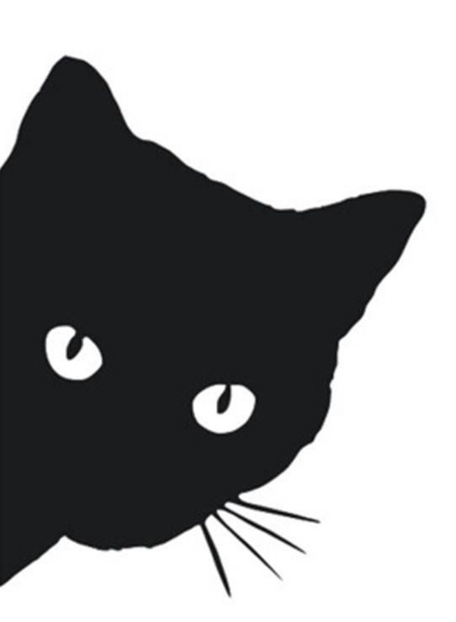 NIBEMINENT Peeking Cat Face Pattern Car Sticker