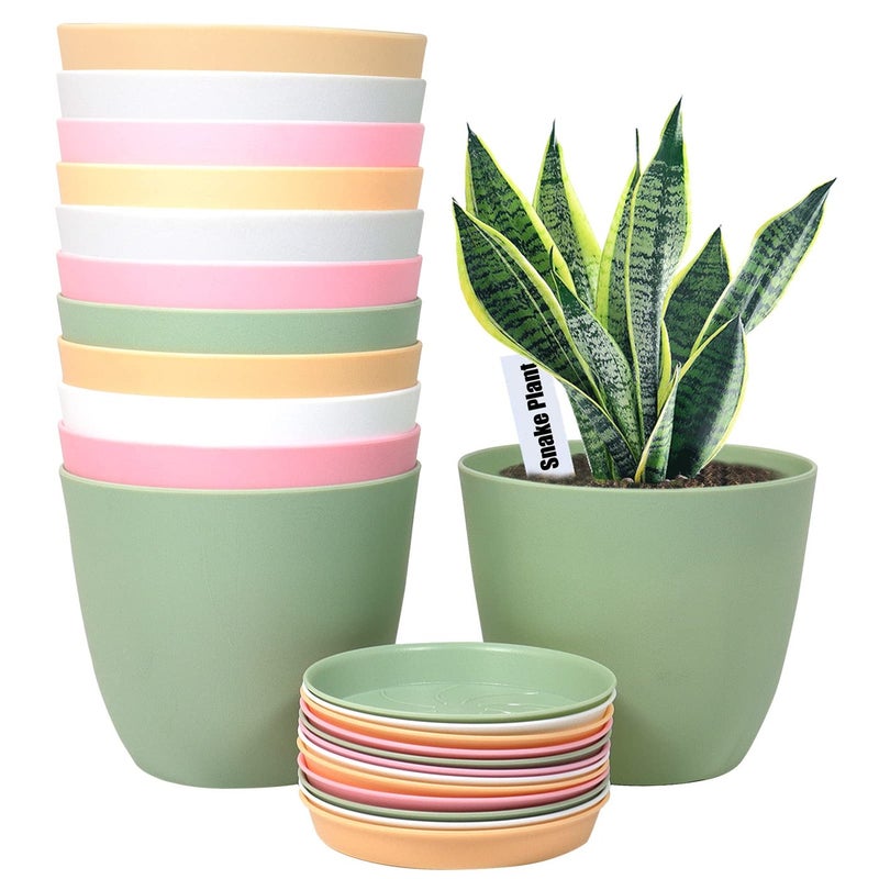 SwinDuck 6 Inch Plant Pots 12 Pack Plastic Planters Modern Flower Pot with Drainage Holes and Saucers for All House Plants Herbs Flowers and Seeding Nursery Colorful