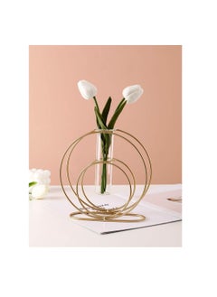 KASTWAVE KASTWAVE Glass Flower Vase with Metal Frame Stand Modern Creative Geometry Desktop Glass Planter Indoor Décor Hydroponics Plants for Home Desktop Office Garden Wedding Decor  - Image 1