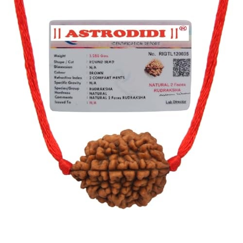 ASTRODIDI Original and Certified 2 Mukhi Rudraksha Bead with Red Thread for Daily Wearing for Men Women Boys and Girls | Natural Two Face Rudraksh Bead | Unisex Design - Image 1