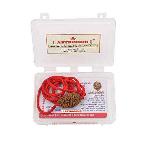 ASTRODIDI Original and Certified 2 Mukhi Rudraksha Bead with Red Thread for Daily Wearing for Men Women Boys and Girls | Natural Two Face Rudraksh Bead | Unisex Design - Image 5