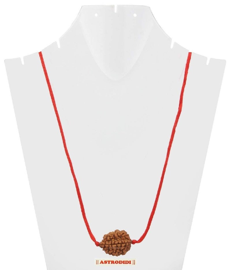 ASTRODIDI Original and Certified 2 Mukhi Rudraksha Bead with Red Thread for Daily Wearing for Men Women Boys and Girls | Natural Two Face Rudraksh Bead | Unisex Design - Image 4
