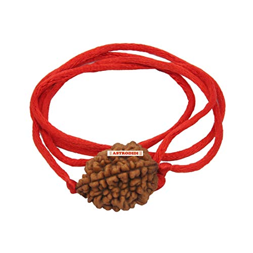 ASTRODIDI Original and Certified 2 Mukhi Rudraksha Bead with Red Thread for Daily Wearing for Men Women Boys and Girls | Natural Two Face Rudraksh Bead | Unisex Design - Image 3