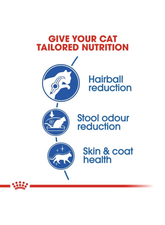 رويال كانين تغذية صحة القطط الداخلية ذات الشعر الطويل 2 كجم - Image 4